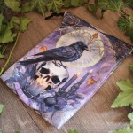 Pochette en velours avec corbeau et crâne pour cartes de tarot, oracle ou runes