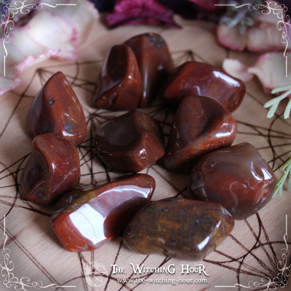 Petrified wood Petrified wood