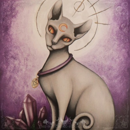 Poster chat de sorcière