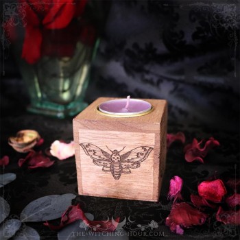 Moth and moon crescent candle holder