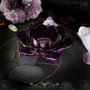 Purple lotus cup