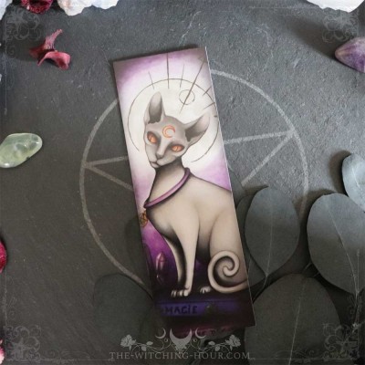 The Witch Familiar bookmark