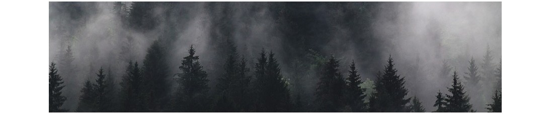 Pagan, esoteric and gothic jewelry