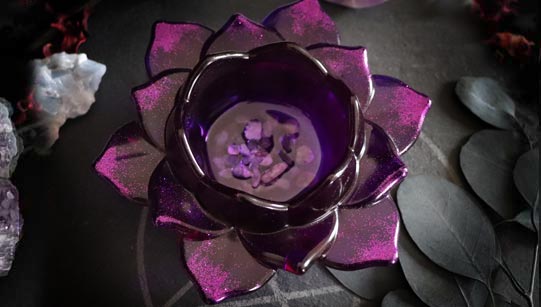 Purple lotus cup